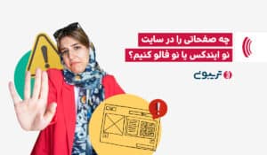 چه صفحاتی را در سایت نو ایندکس یا نوفالو کنیم؟
