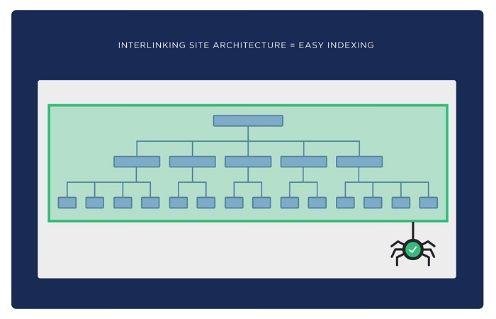چرا معماری وب‌سایت برای سئو مهم است؟